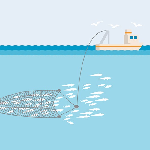 Bag net | fishing | Britannica