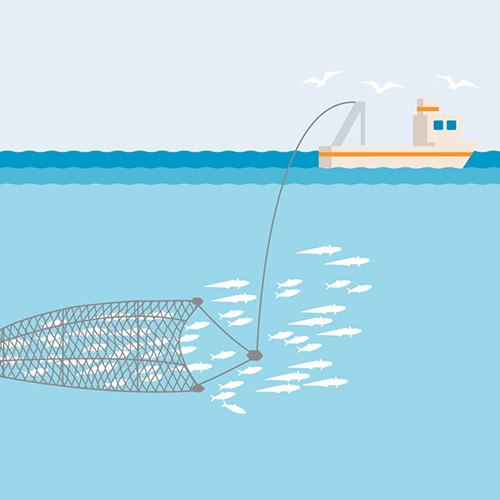 Pelagic trawl fishing