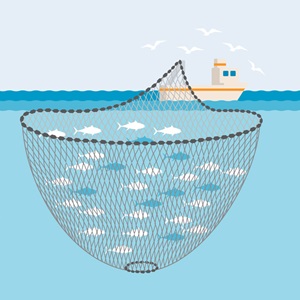 Fishing Methods
