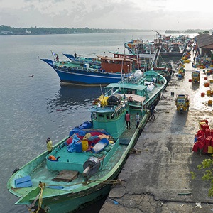 Kerala deep-sea shrimp: Continued sustainability research