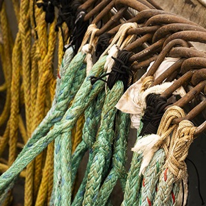 The MSC Fisheries Standard Toolbox