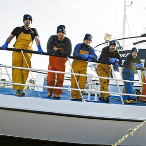 A big blue future for Scottish haddock