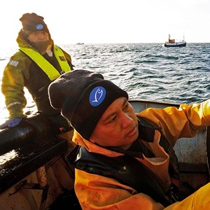 How MSC Certified fisheries are improving