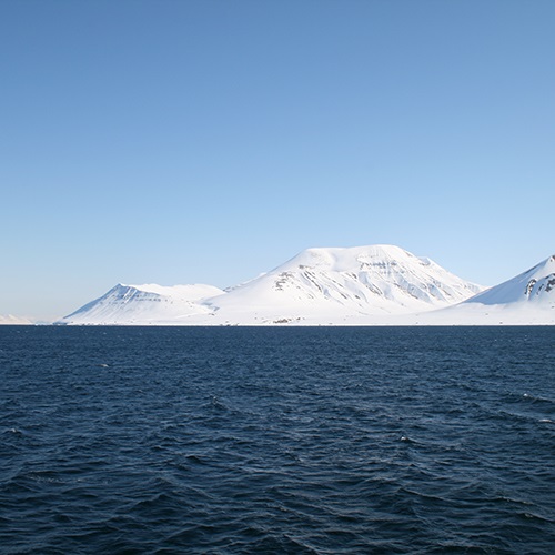 Collaboration helps secure Barents Sea cod stocks