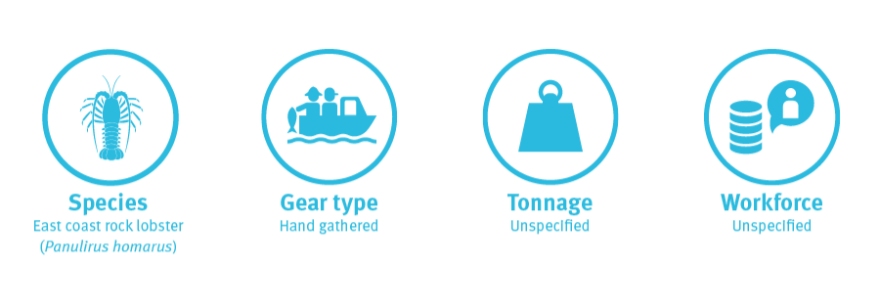 EAST COAST ROCK LOBSTER