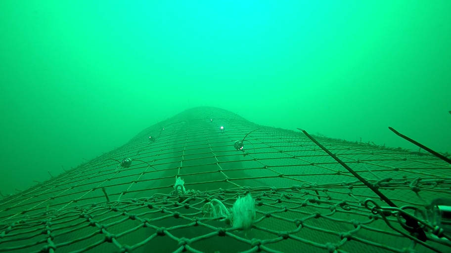 https://www.msc.org/images/default-source/msc-english/video-placeholder-images/912x513/led-lights-on-fishing-net-underwater.jpg?sfvrsn=879d7436_4