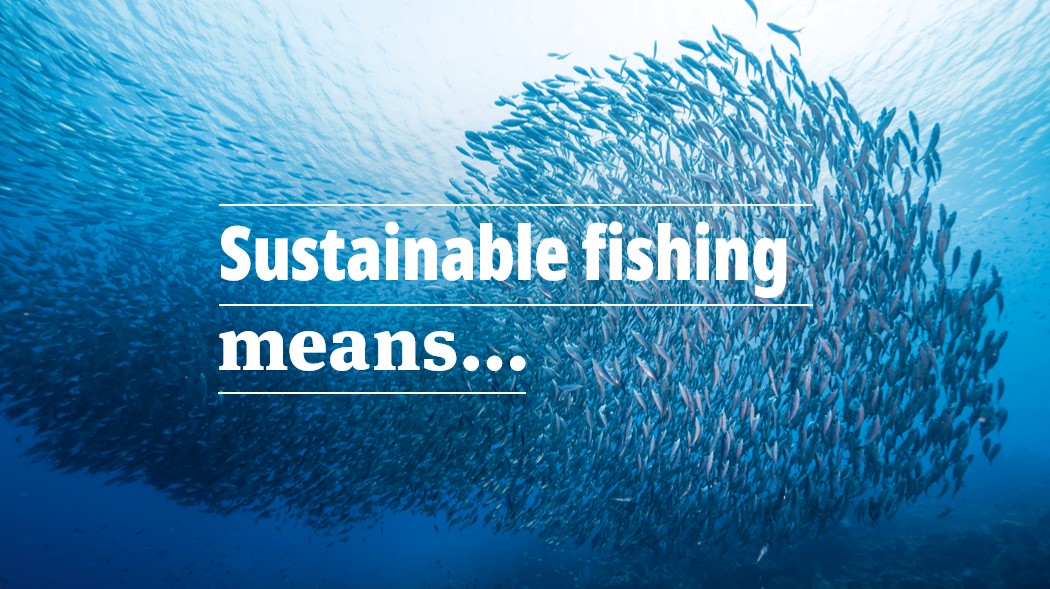 Sustainable Fishing Means More... | Marine Stewardship Council