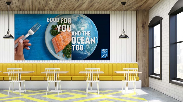 Marketing & Promotional Resources