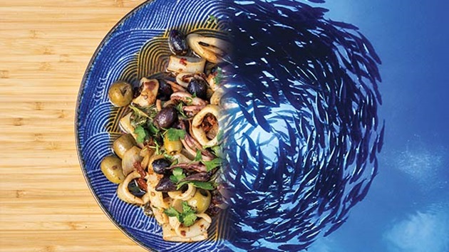 The Long Future of Squid