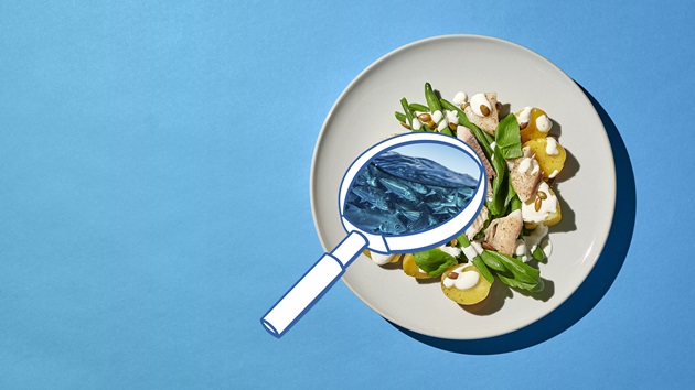 The Future of Green Claims Webinar