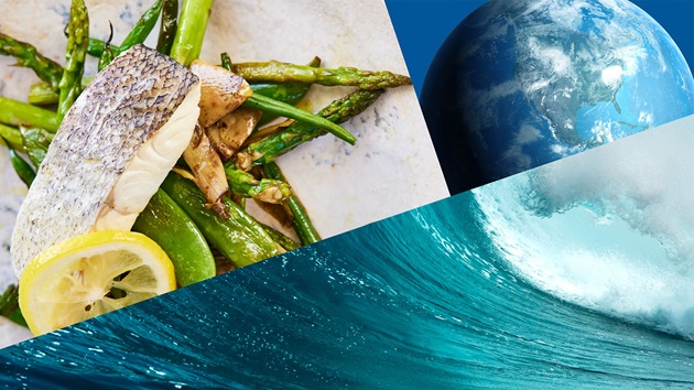 Eat MSC Certified Sustainable Seafood | Marine Stewardship Council ...