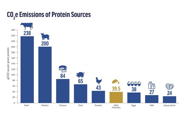 CO2 emissions of protein sources