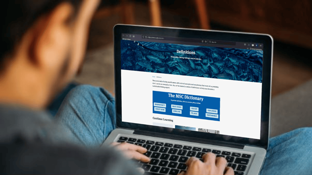 Sustainable fishing vocab