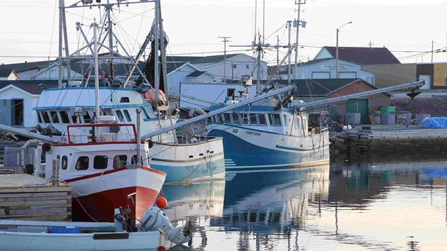 Blue fish label is key driver of sustainability in Canadian Fisheries