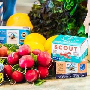 Find MSC Certified seafood near you