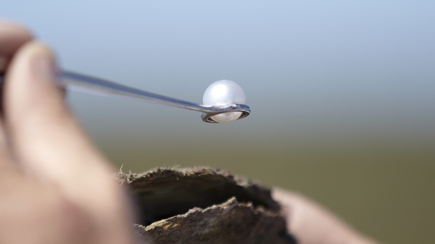 Looking good, doing good, feeling good