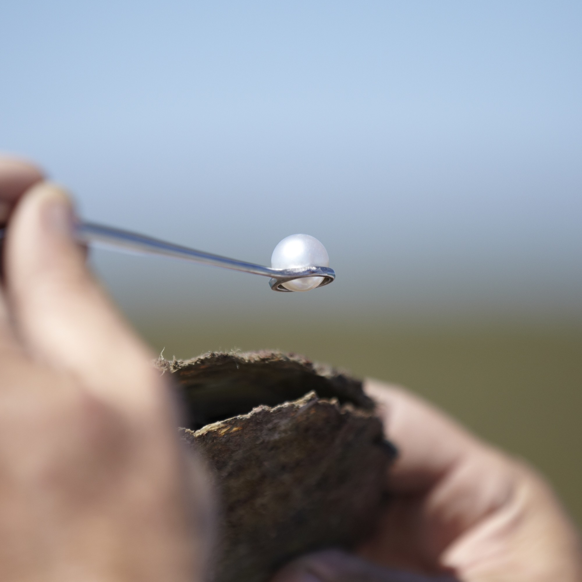 Close up of hands holding a pearl over an oyster