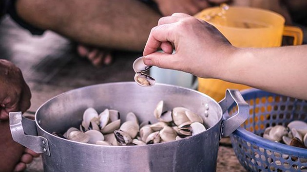 Saving a clam fishery in Vietnam