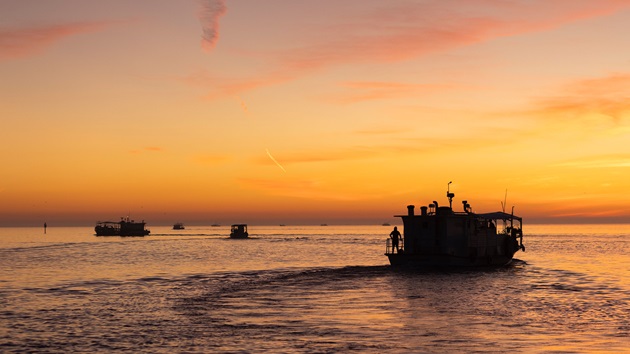 U.S. State of the Market Report 2026