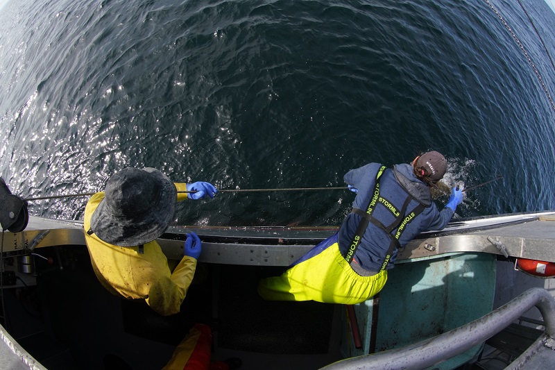 Tiare fishing for Pacific halibut