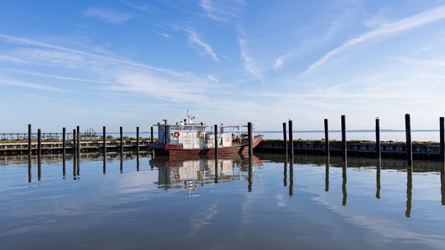 Prestige Oysters: Sustainable Success After the Storm