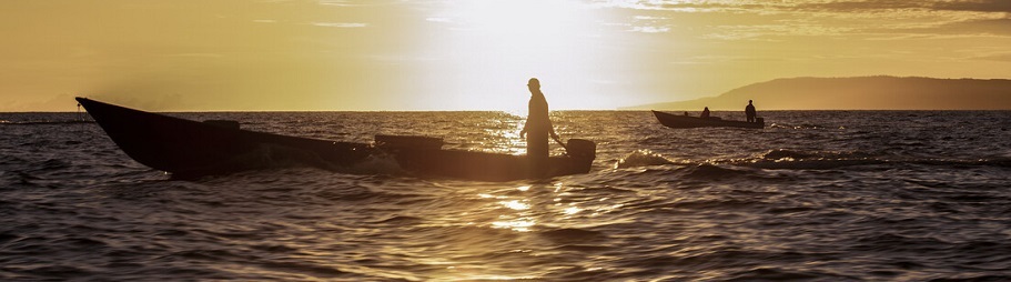 How This Small-Scale Yellowfin Handline Tuna Fishery Catches More with the Future in Mind