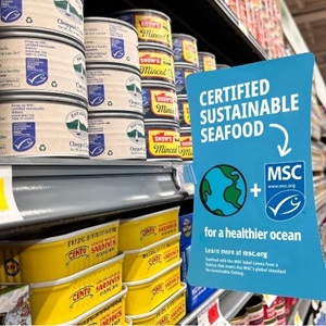 Get marketing resources