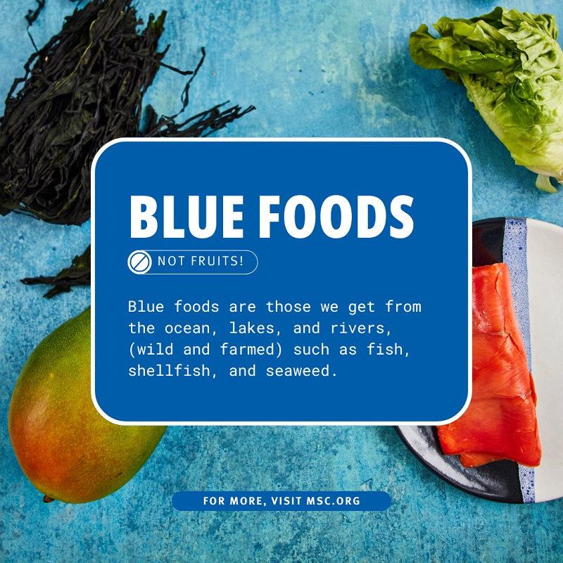 Blue Foods Definition | Marine Stewardship Council | Marine Stewardship ...