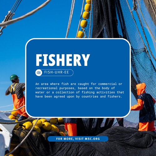 Definition of a fishery on a blue box with fishing nets in the background