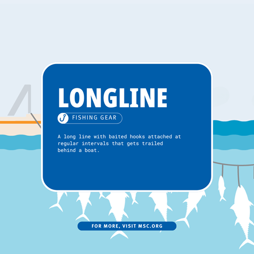 9-23 Defintion - longline