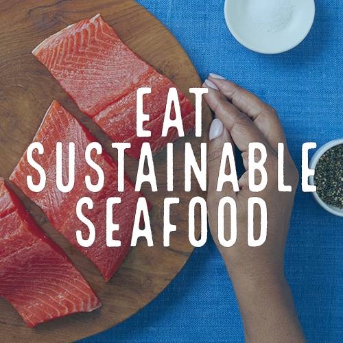 Sustainable Seafood | Healthy Oceans Too | Marine Stewardship Council ...