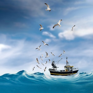 What is sustainable fishing?