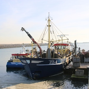 Duurzame visserij bestaat wel degelijk, en helpt om oceanen te beschermen