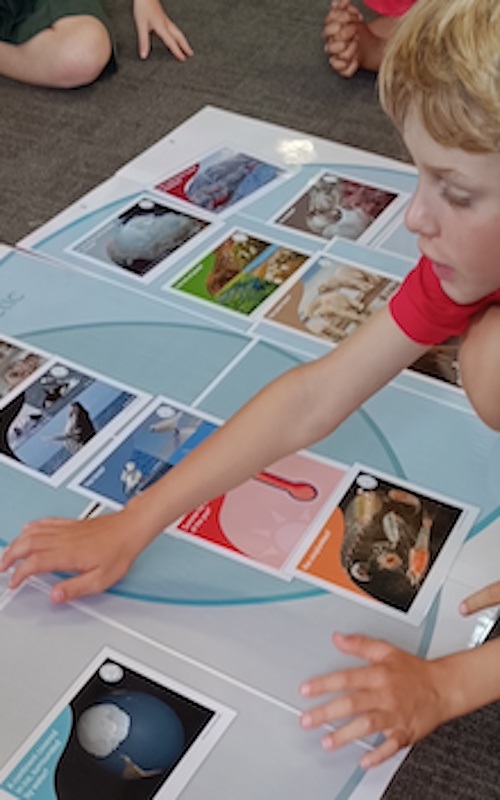 Classroom activities (indoors and out)