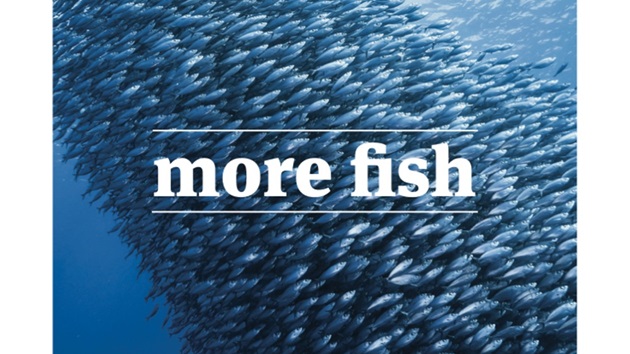 How sustainable fishing supports biodiversity