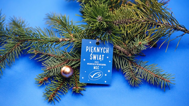 Podsumowanie wcześniejszych kampanii