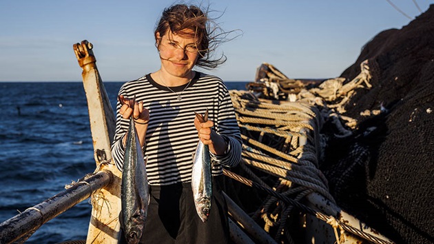 Kluczowe dane - Annual Report 2023-24