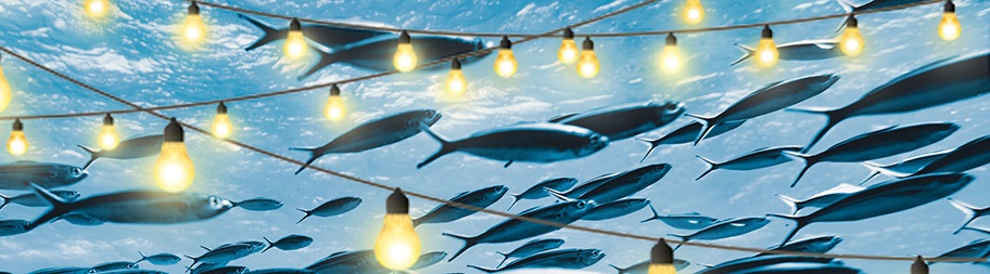 "Program MSC: różnorodność gatunkowa"