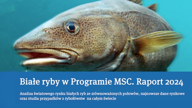 Raport o białych rybach 2024