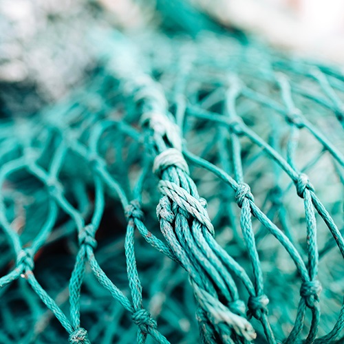 Sobrepesca y pesca ilegal y destructiva