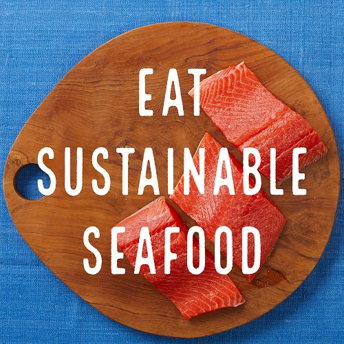 Where To Buy MSC Certified Sustainable Seafood | Marine Stewardship Council