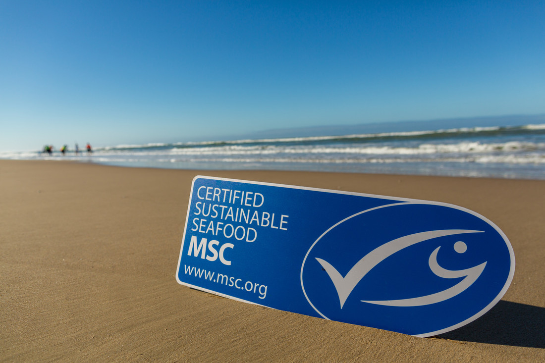 MSC News In Australia And New Zealand | Marine Stewardship Council