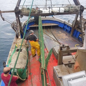 Al via le azioni di miglioramento della pesca al gambero bianco di Molfetta