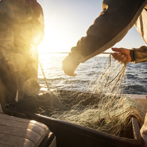 FEDERPESCA e MSC Marine Stewardship Council: insieme per una pesca più sostenibile nel Mediterraneo