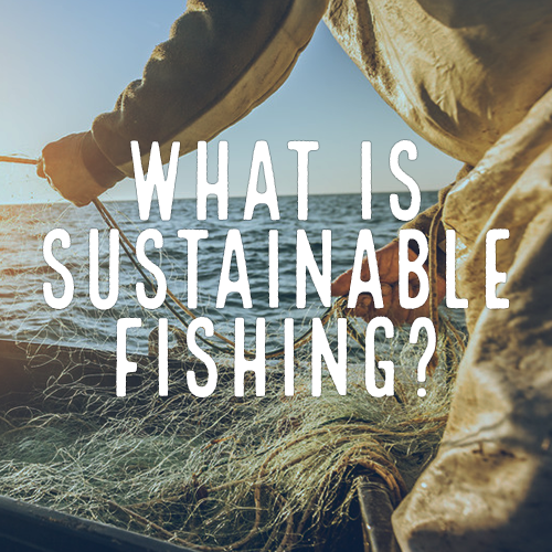 Where To Buy MSC Certified Sustainable Seafood | Marine Stewardship Council