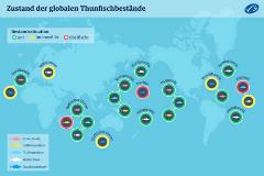 Zustand der globalen ThunfischbestÃ¤nde-spo