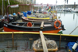 Natural England and Project Inshore