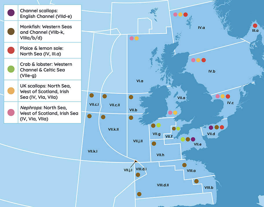 Delivering Fishery Improvements Through Project UK | Marine Stewardship ...