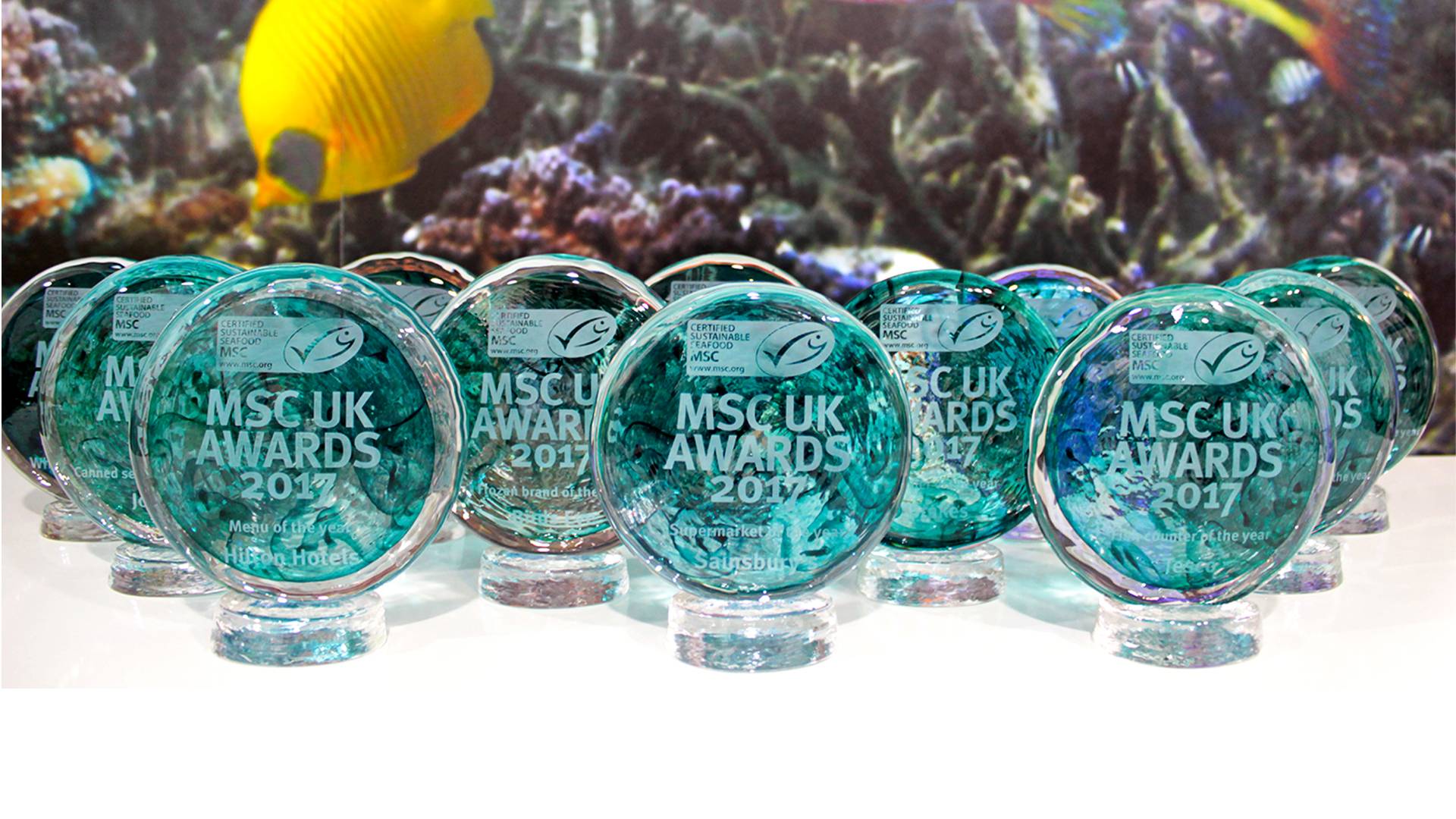 msc-uk-awards-2017-marine-stewardship-council-marine-stewardship