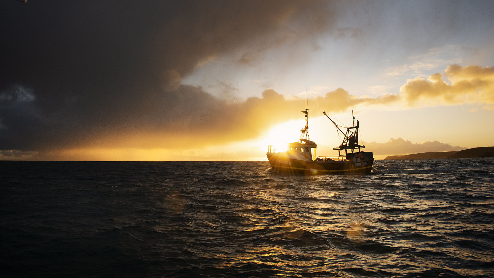 MSC Press Releases | Marine Stewardship Council | Marine Stewardship ...